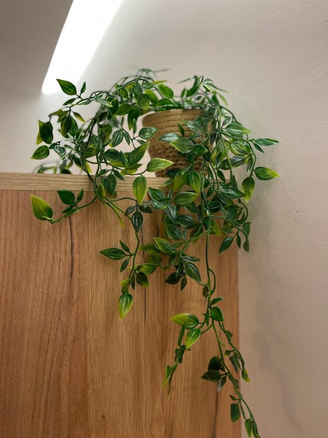 Sunbeam 호텔 Kardamena  외부 사진